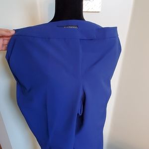 NWT- Limited Eva Longoria lined dress pants